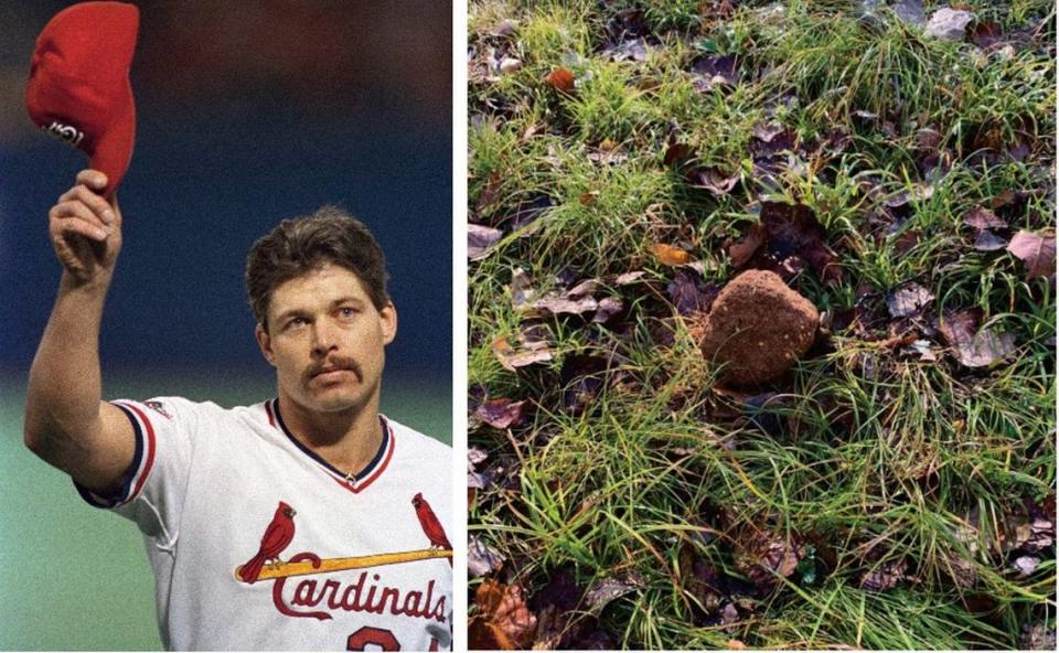 Former St. Louis Cardinals pitcher Danny Cox, left, tips his hat to the crowd at a World Series game in 1987. At right, a mineral block on the Cox property near Freeburg is shown in an Illinois Conservation Police evidence photo.