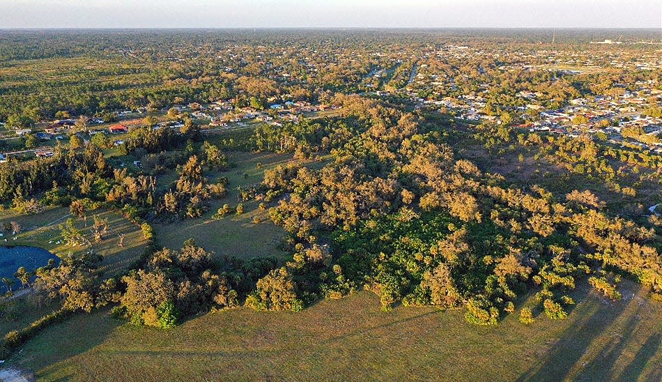 This portion of Warm Mineral Springs Parks is part of the 61.4 acres that the city wanted to see developed as part of a public-private partnership. The future of this land – once envisioned as a park – has sparked considerable comment from people who do not want to see it targeted for any commercial development.