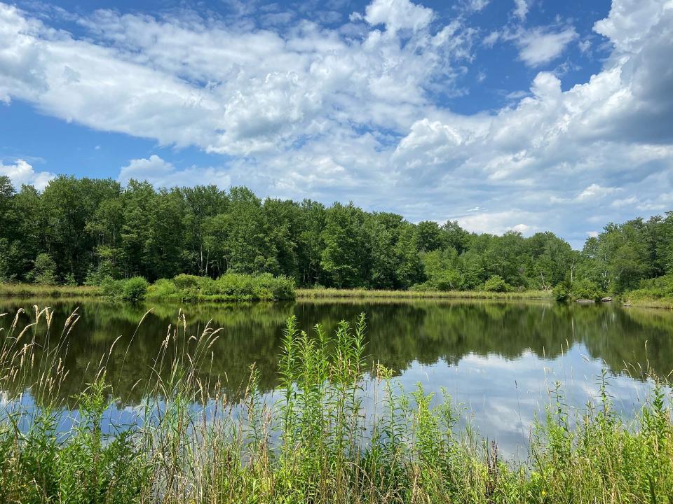 The 144-acre Van Scott Nature Reserve, near Beach Lake, Pa., is the home of the Delaware Highlands Conservancy. There are over three miles of nature trails through meadows and forest along with two ponds, a creek and wetlands, open daily to the public. The meadows provide important habitat for birds and pollinators like butterflies and bees.
