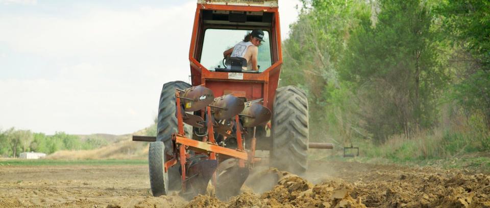 Jace Martallero and his family are among subjects featured in the documentary "Mirasol: Looking at the Sun," which shines a spotlight on farming on the Mesa east of Pueblo.