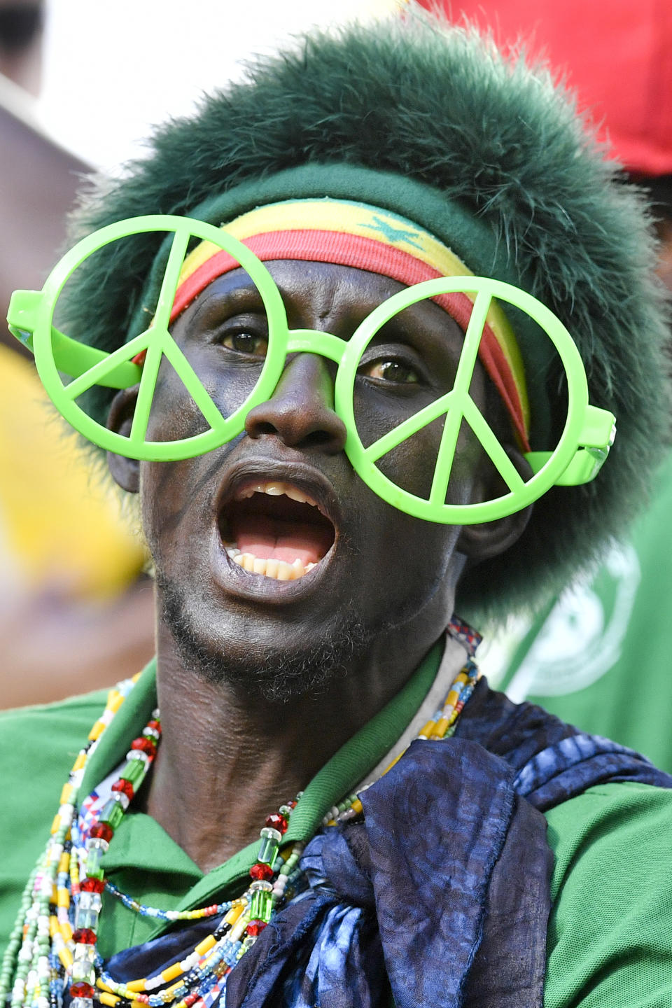 <p>A fan cheers for Senegal before the start of the group H match between Senegal and Colombia </p>