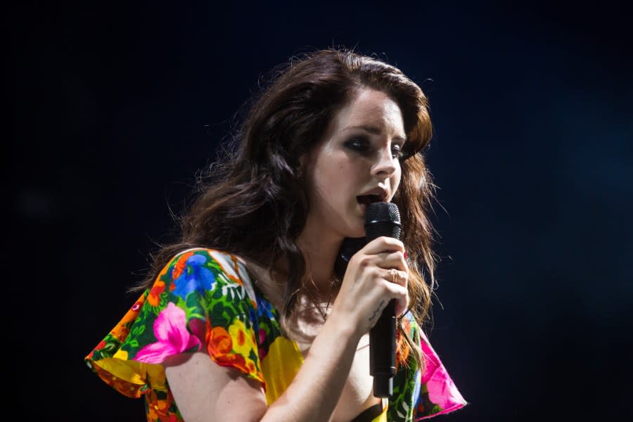 INDIO, CA – APRIL 20: Singer Lana Del Rey performs at the Coachella valley music and arts festival at The Empire Polo Club on April 20, 2014 in Indio, California. (Photo by Chelsea Lauren/WireImage)