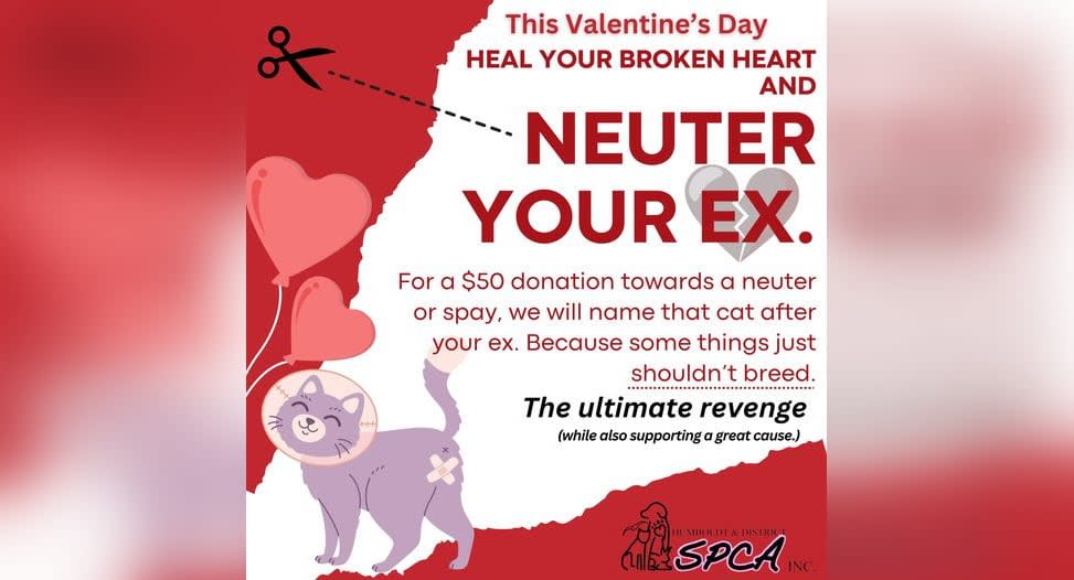 The Humboldt & District SPCA has been promoting its 'Neuter your Ex' campaign on its Facebook page. (Humboldt SPCA/Facebook - image credit)