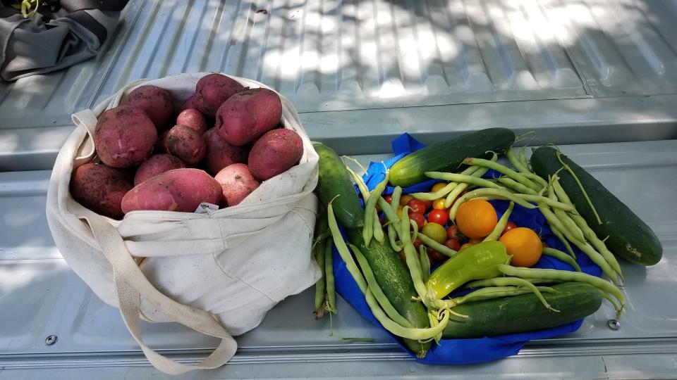 Harvest from the Southwood Community Garden in May, 2020.