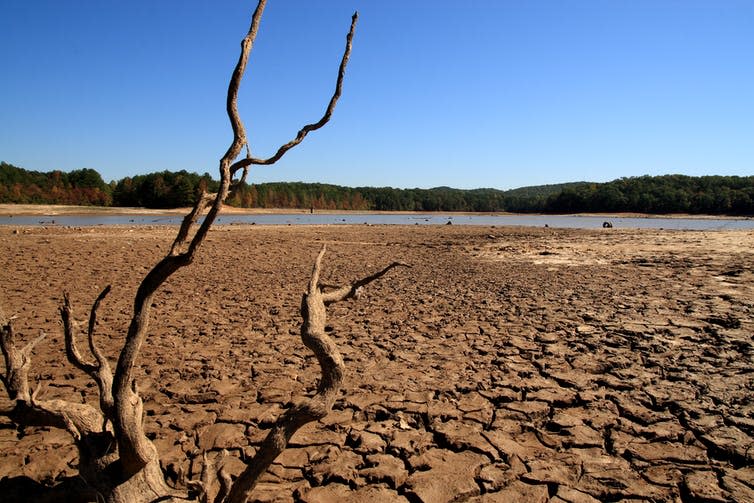 Land struck by drought