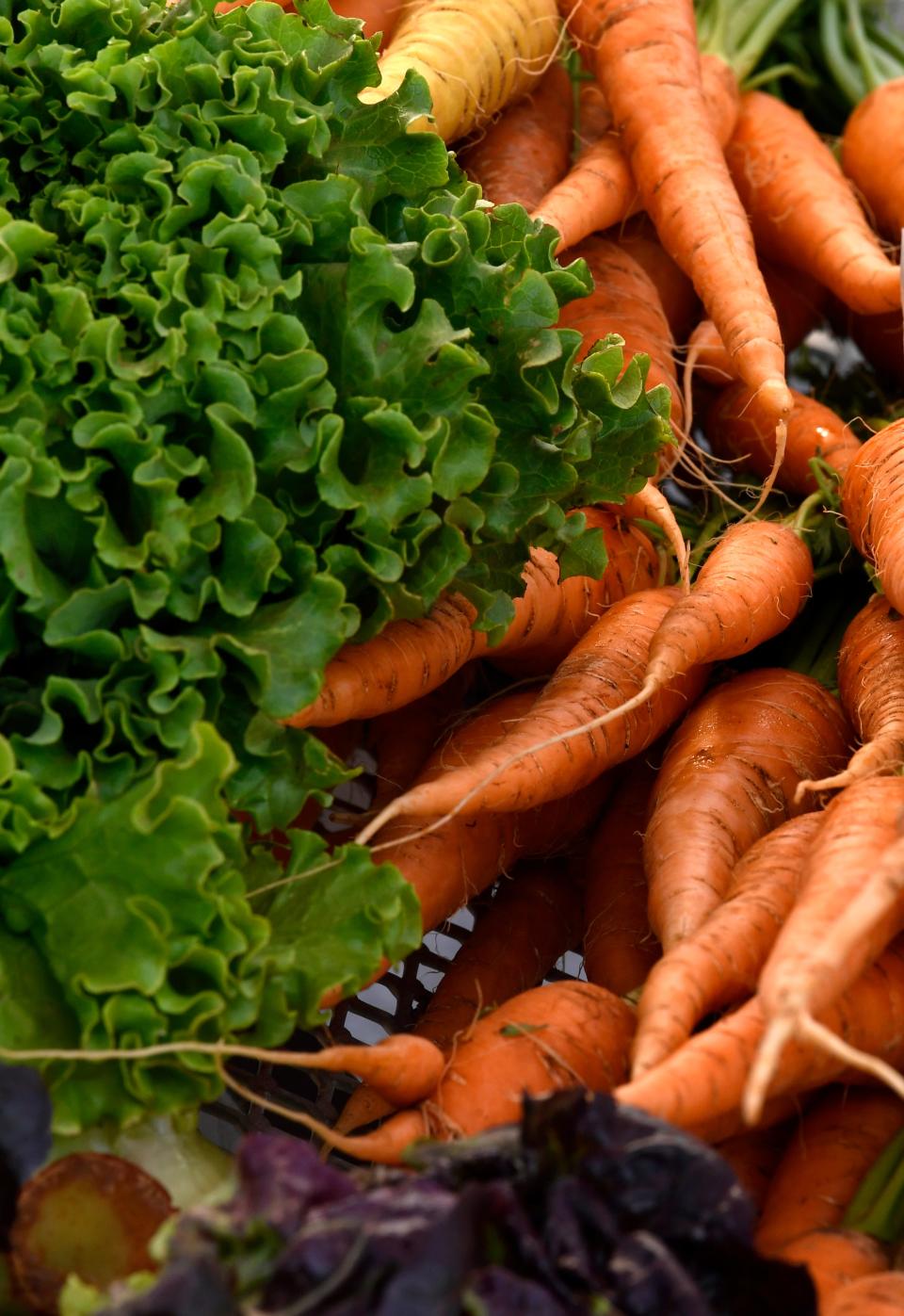 Carrots, lettuce and other vegetables for sale at the Abilene Farmer's Market May 14.