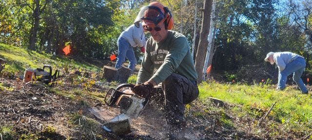 Scott Lemieux with the Fort Adams crew cuts a stump at Butts Hill Fort in Portsmouth on Nov. 6.