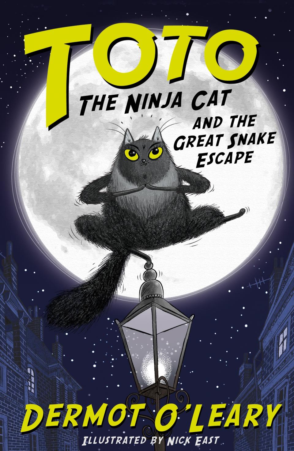 ‘Toto The Ninja Cat And The Great Snake Escape’ was inspired by Dermot’s real pets.