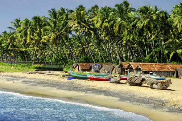 British gran drowns on 'dream holiday' in Goa