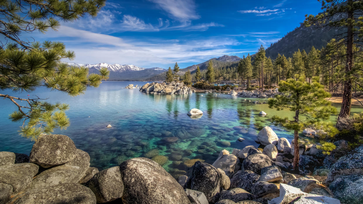 Chris Demonbreun Photography / Getty Images/iStockphoto