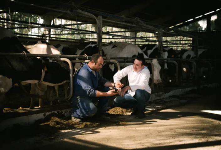 Ferpal, un restaurante del mundo rural con estrella Michelin. Foto. Ferpal Gastron&#xf3;mico