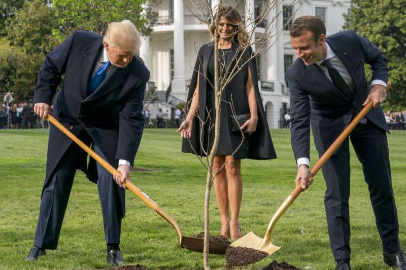 2018年4月23日，法國總統馬克宏造訪美國，進行國是訪問，兩人特別在白宮種下從法國帶來的橡樹苗。（AP）