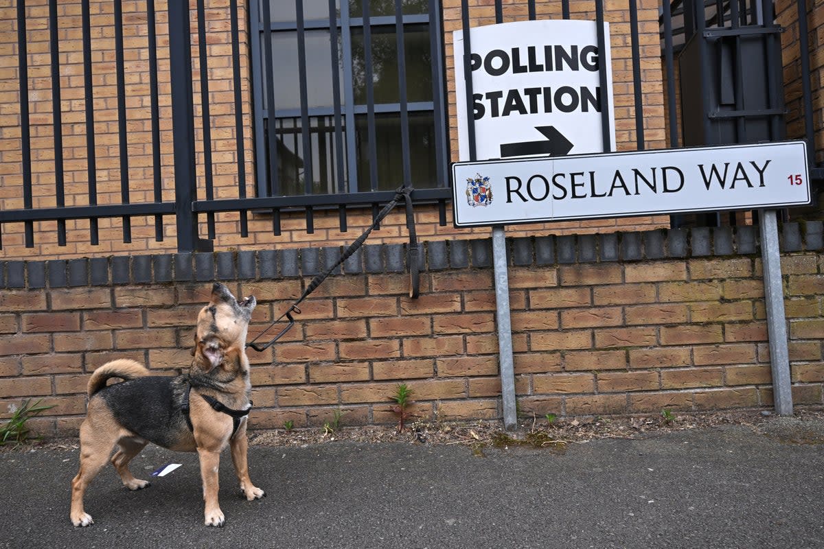 Voters across the country took to the polls  for local council elections  (Getty Images)