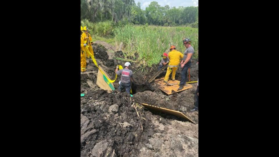 Rescuers worked for hours to free a cow that was trapped in chest-high mud, firefighters said.