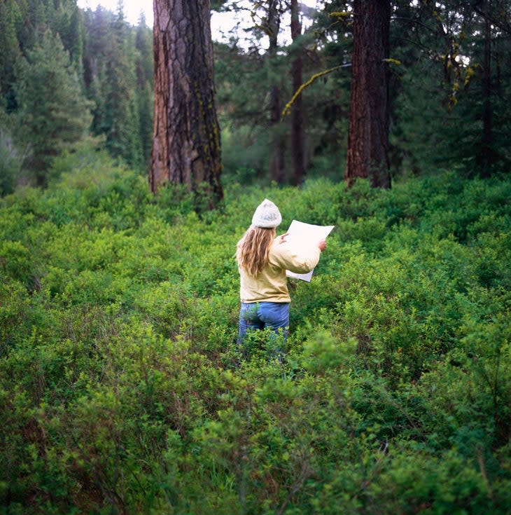 Person looking at map in forest
