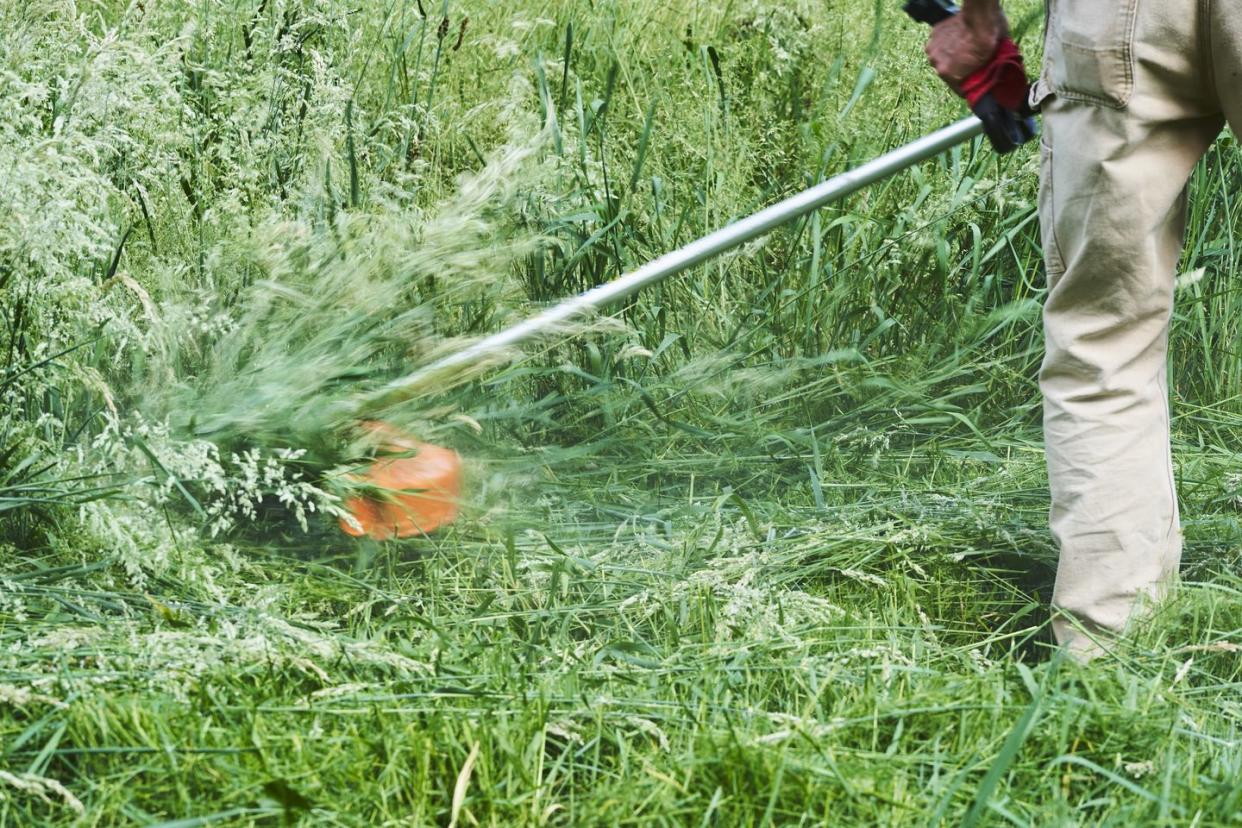 string trimmer testing