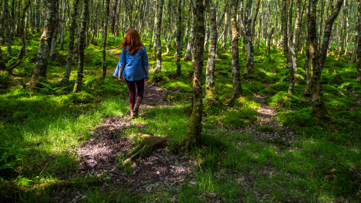  Woman walking through green woods. 