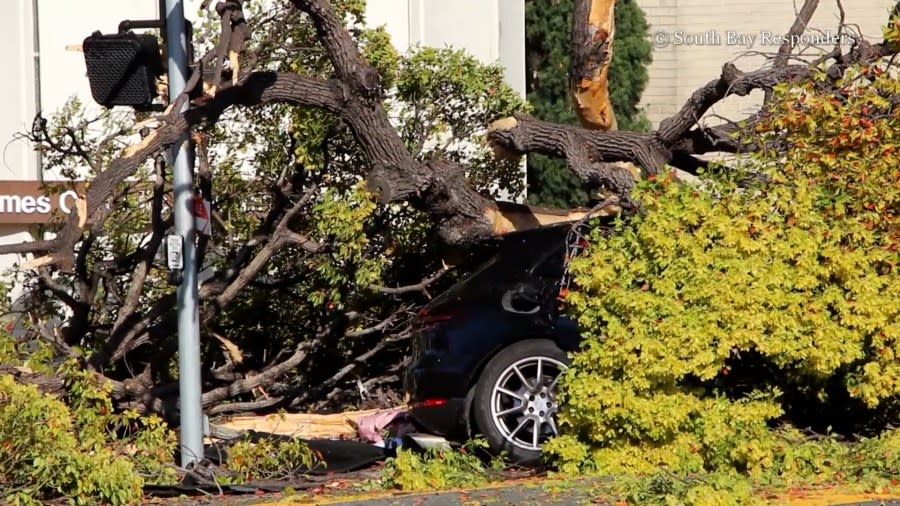 Redondo Beach Crash