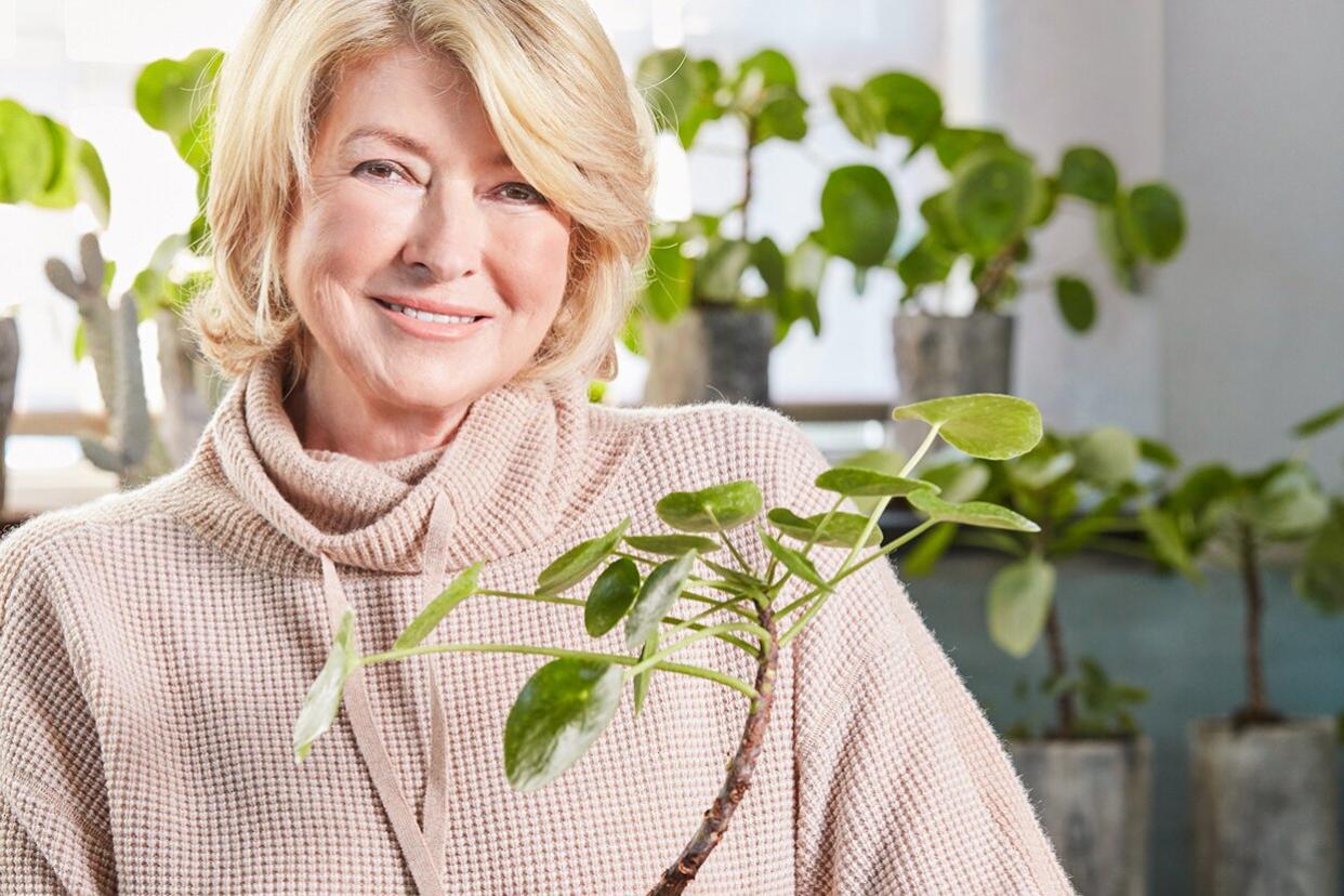 martha next to her money plant