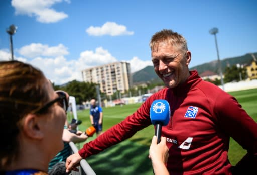 Iceland coach Heimir Hallgrimsson nearly lost a laptop containing 20 years work