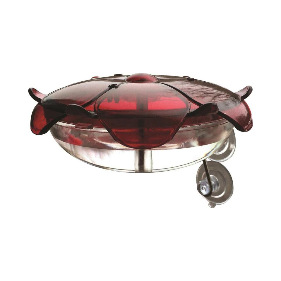 Droll Yankees Hummingbird Feeder