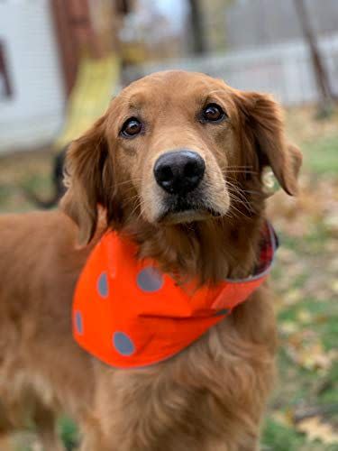 Plaid Reversible Reflective Bandana