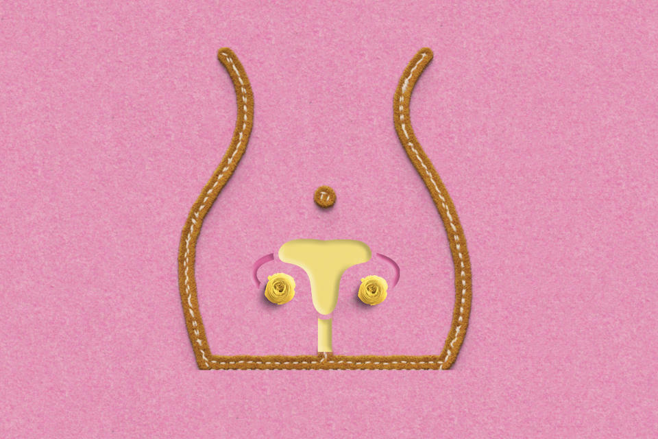 An illustrated image of a uterus and ovaries