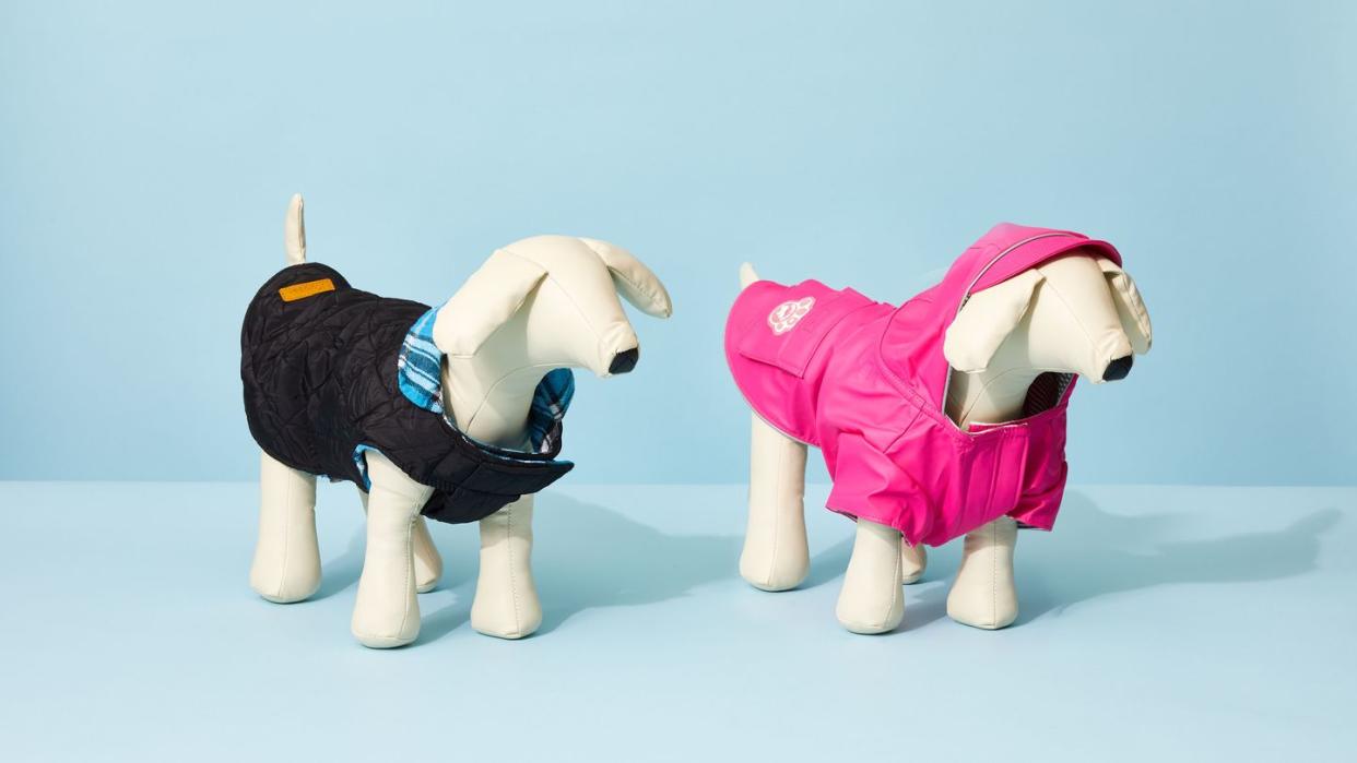 black and pink dog jackets on white dog mannequins, against a blue background, for the good housekeeping picks for best dog jackets