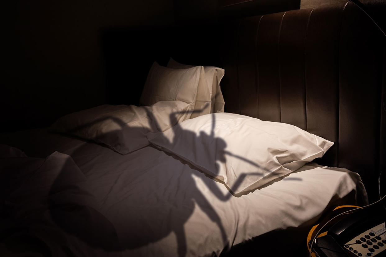 Shadow of a bedbug looming over a bed Photo illustration by Salon/Getty Images