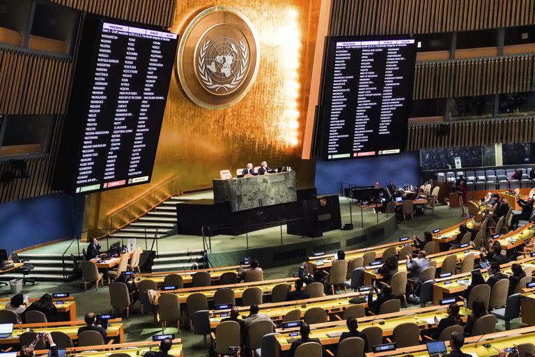 La Asamblea General de la ONU