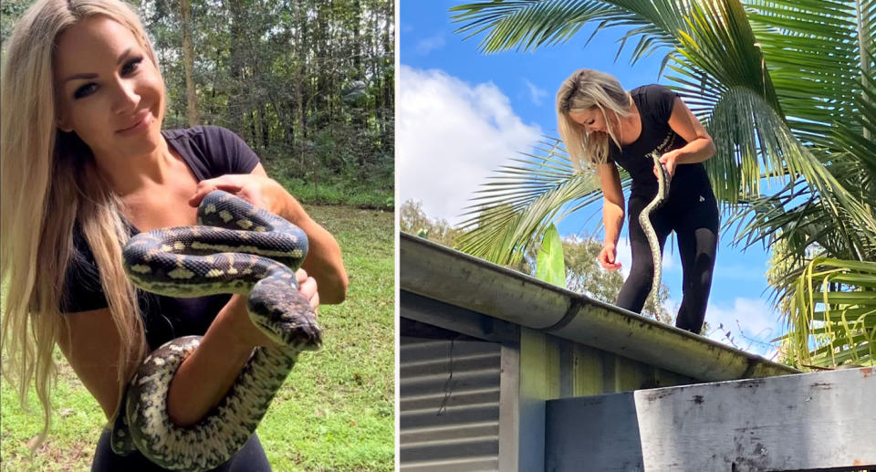 Snake catcher Courtenay Brown, That Snake Lady, rescuing python from home.