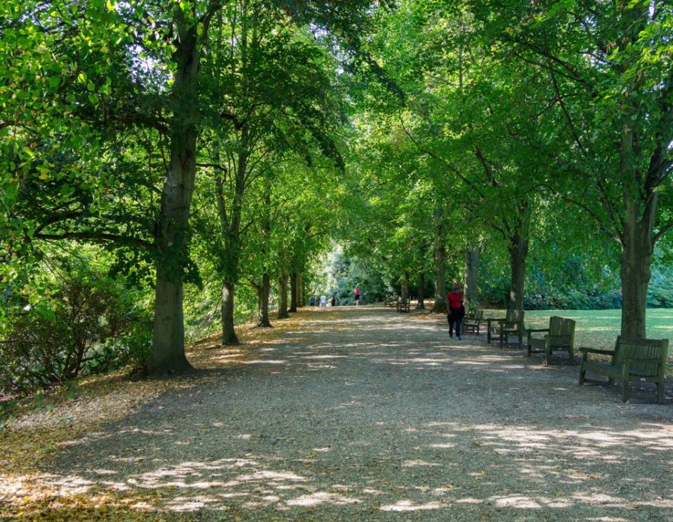 Hampstead Heath  (Unsplash)