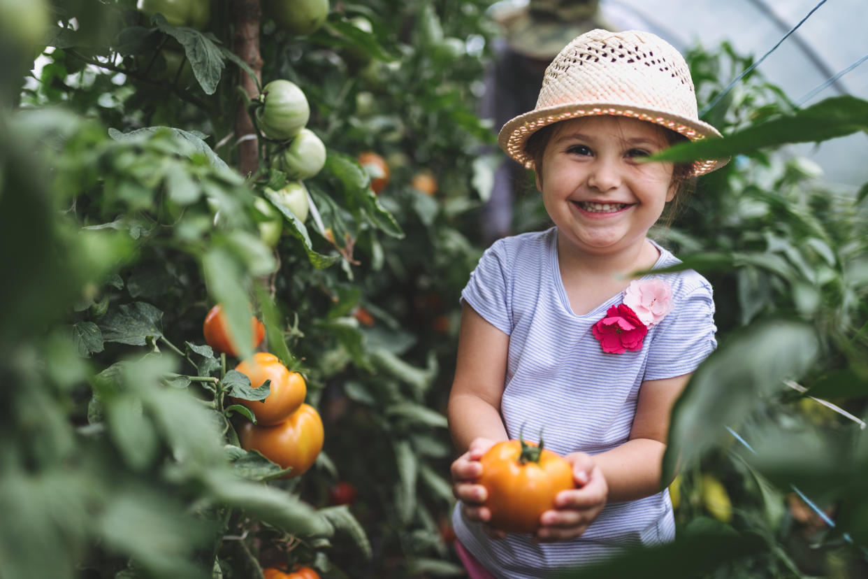 The British Nutrition Foundation has issued new guidelines. [Photo: Getty]