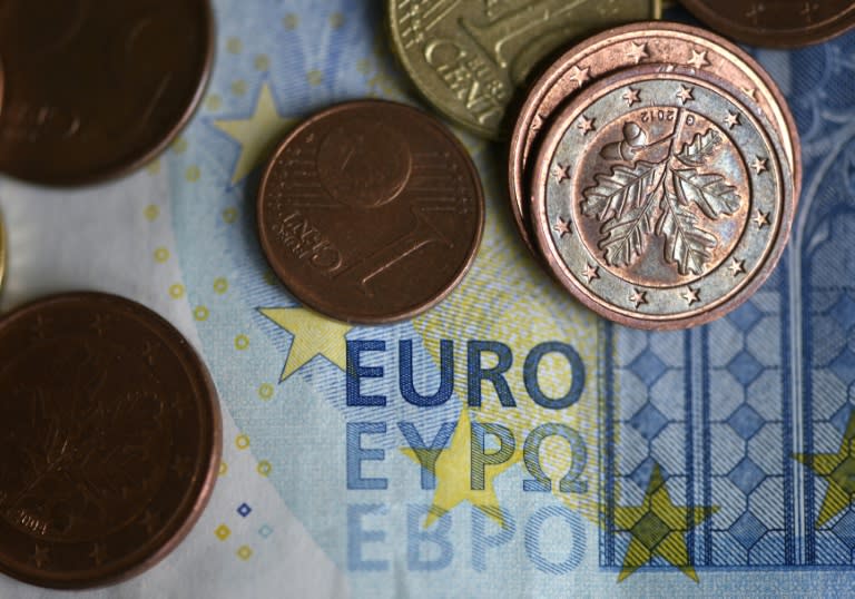 Euro-Münzen und -Schein (AFP/INA FASSBENDER)