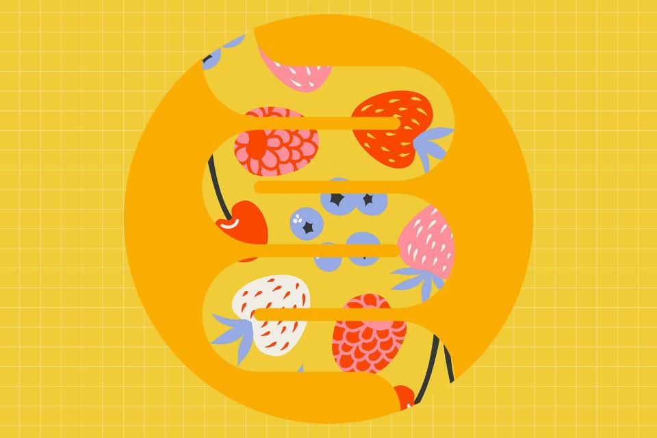 an illustration of a gut with fruits inside