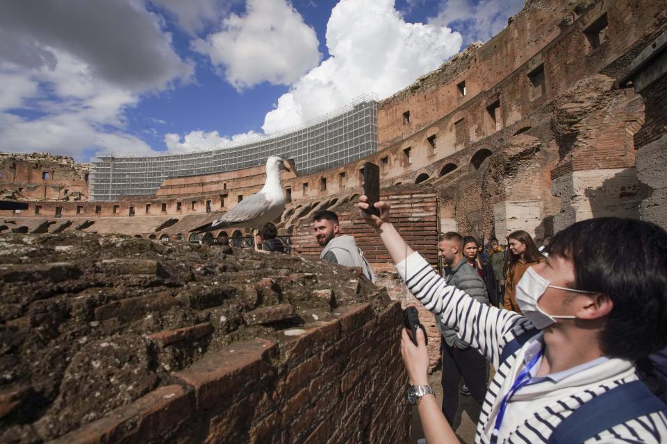 A tourist takes a picture of a seagull in the Colosseum, in Rome, Saturday, March 7, 2020. With the coronavirus emergency deepening in Europe, Italy, a focal point in the contagion, risks falling back into recession as foreign tourists are spooked from visiting its cultural treasures and the global market shrinks for prized artisanal products, from fashion to design. (AP Photo/Andrew Medichini)