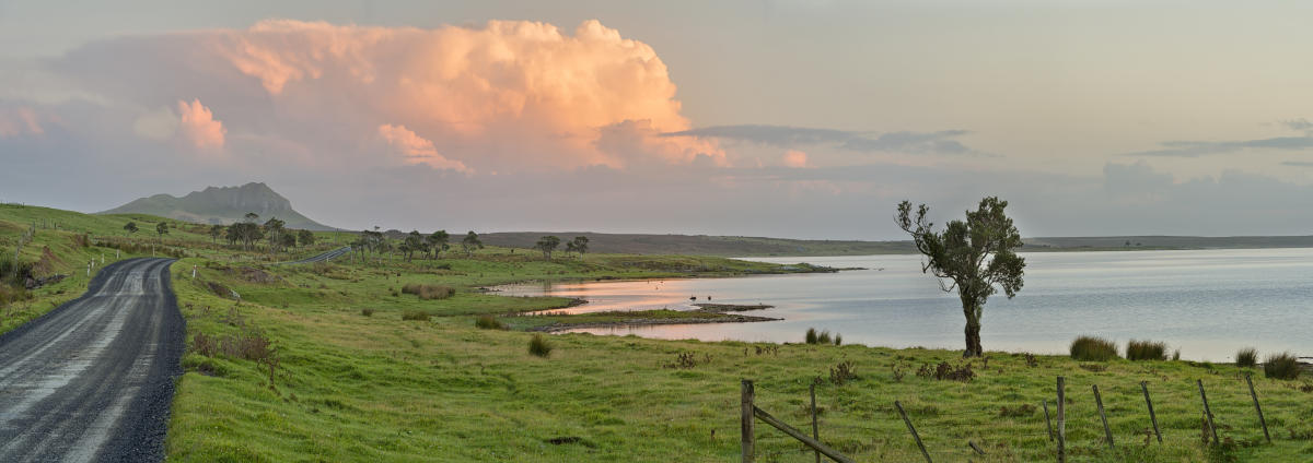 Las islas Chatham, el único lugar del mundo hasta arriba de turistas