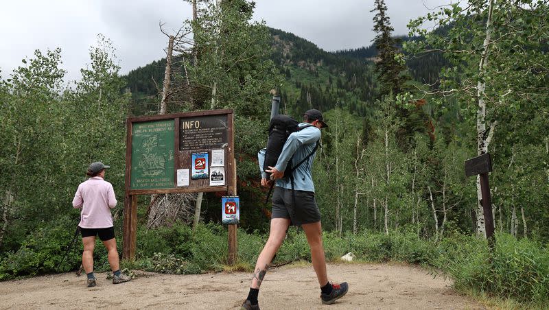Hikers start the White Pine Trail in Little Cottonwood Canyon on Aug. 2, 2022. A gondola in Little Cottonwood Canyon would negatively affect most recreational activities while only benefitting the skiers. 
