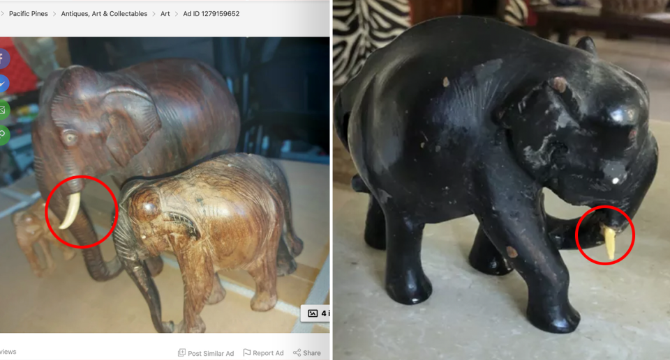 Two images of elephant ornaments with ivory horns for sale on Gumtree.