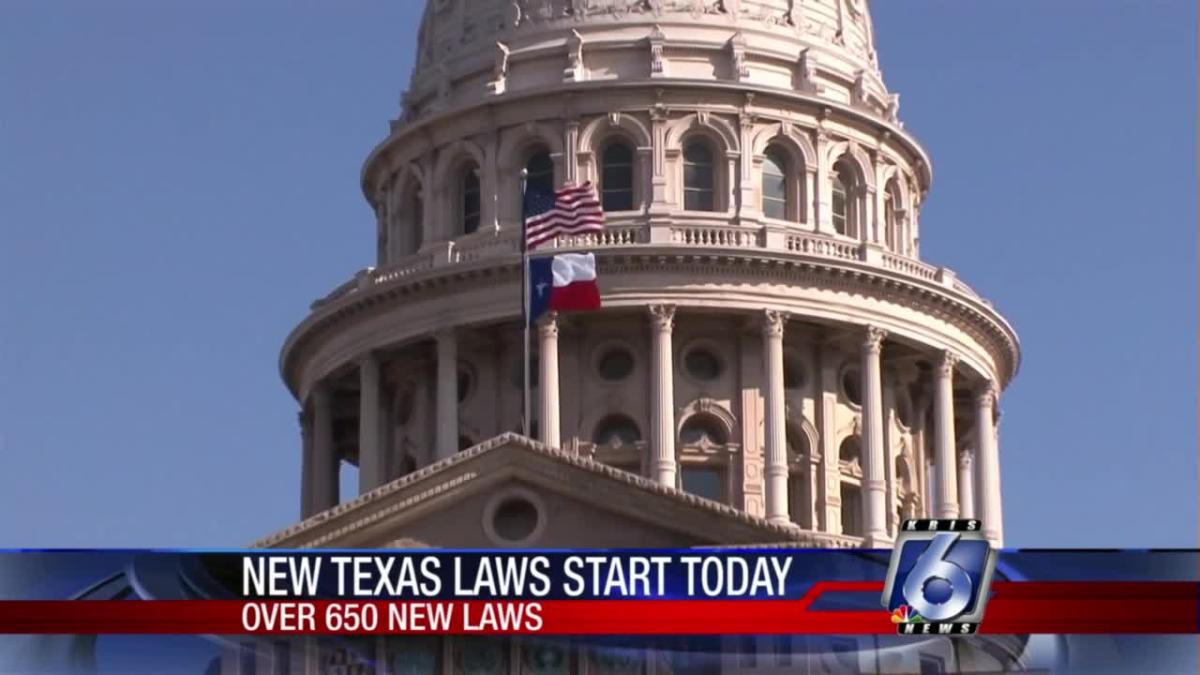 Overview of new Texas laws now in effect