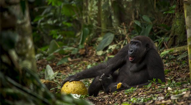 Daniël Nelson was named Young Wildlife Photographer of the Year. Source: Daniël Nelson via Yahoo UK