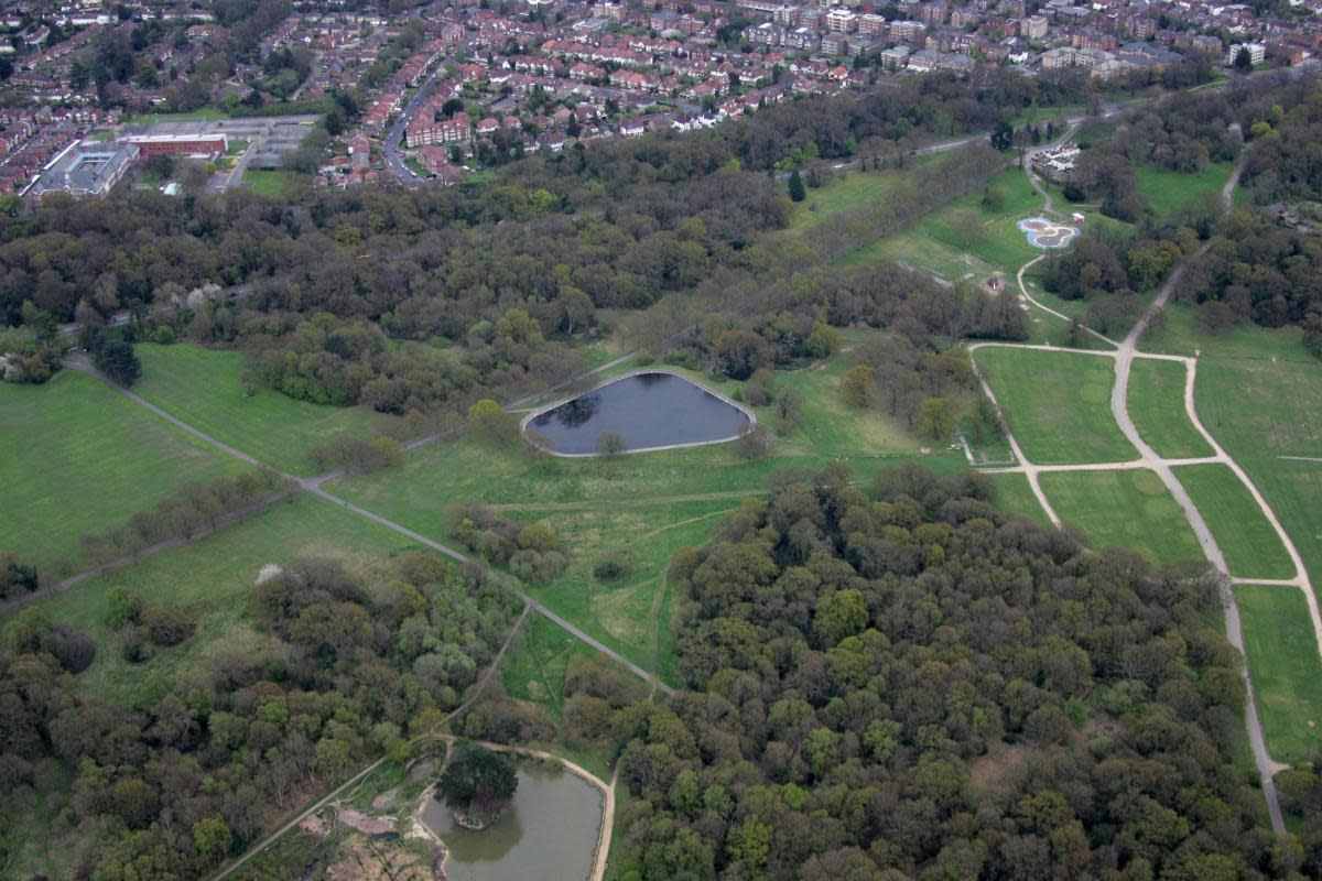 Police hunt flasher after series of incidents at Southampton Common <i>(Image: Supplied)</i>