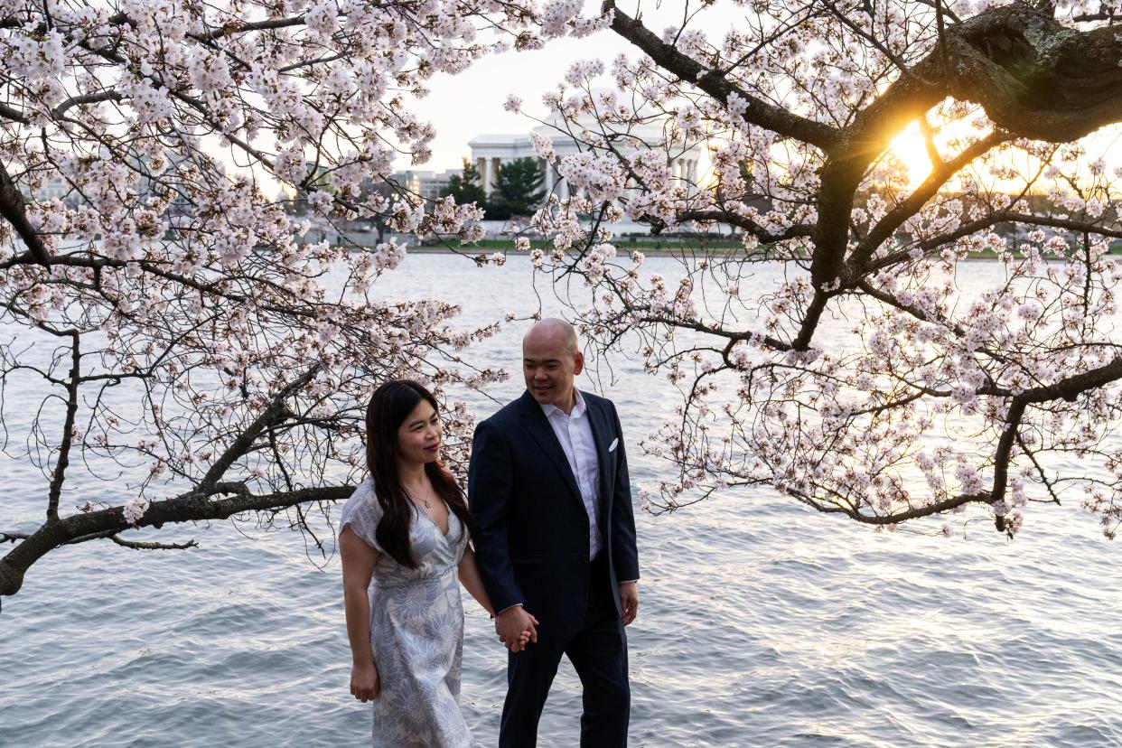 Visitors enjoy the cherry blossoms in Washington, DC on March 18, 2024. The annual National Cherry Blossom Festival, which commemorates Japan's gift of 3,000 cherry trees in 1912, runs from March 20 through April 14.