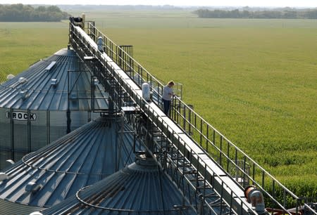 Vanessa Kummer is seen on farm catwalk near Colfax, North Dakota