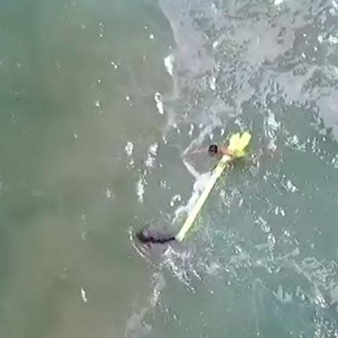 Monty Greenslade, 16 and Gabe Vidler, 17,were spotted struggling in rough surf off Lennox Head, New South Wales - Credit:  Caters News Agency