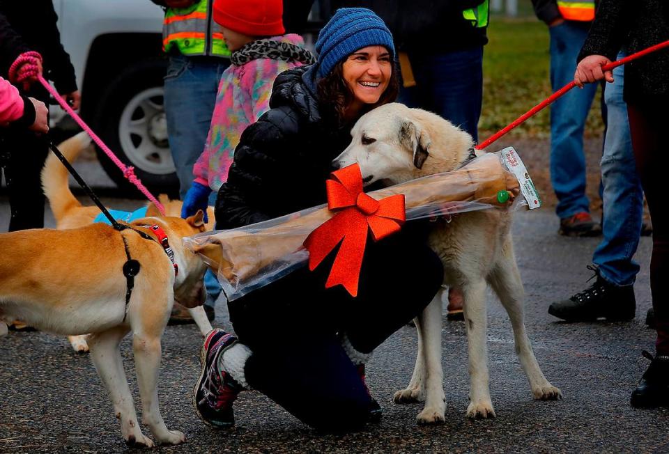 Animal shelter advocate Julie Webb is surrounded by shelter dogs after she was recognized by other volunteers with a jumbo dog bone during the ground-breaking ceremony for a new Tri-Cities Animal Shelter building in Pasco.