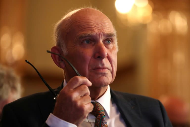 Liberal Democrat leader Vince Cable is pushing for a second referendum on Brexit (AFP)