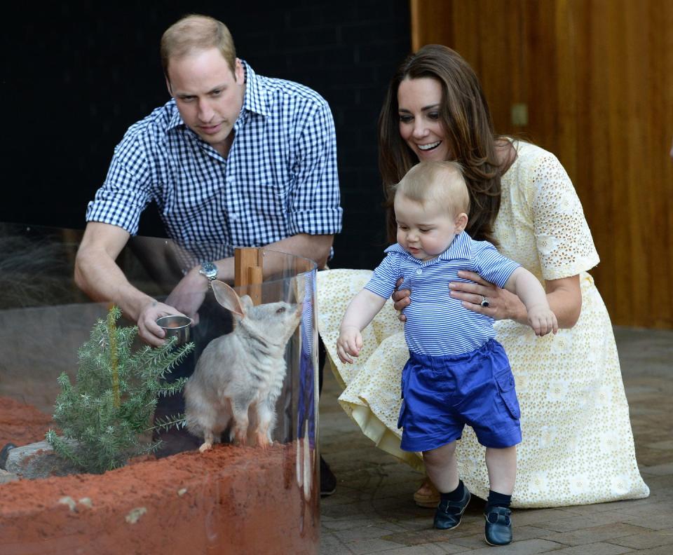 Royals Down Under: 2014