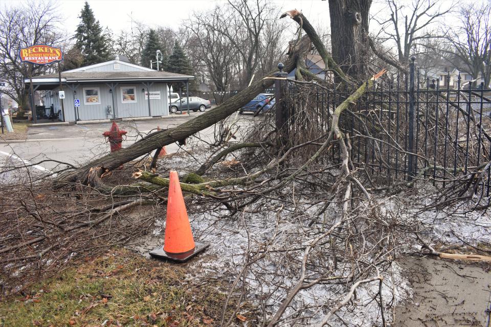 Tree branches and tree limbs are scattered on the sidewalk and about the fencing line for the Pleasant View Cemetery in Blissfield, Thursday afternoon, Feb. 23, 2023. A freezing rain and ice storm rolled through Lenawee County and much of southern Michigan Wednesday, resulting in widespread damage and power outages.