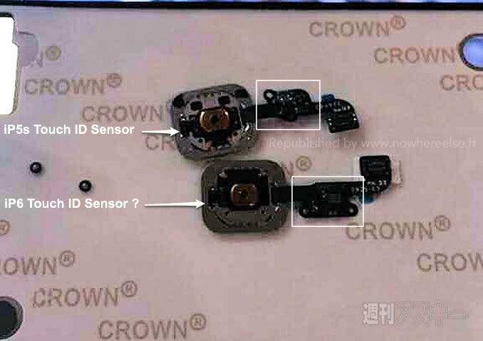 One of the most important iPhone 6 parts just leaked for the first time